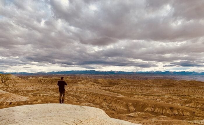 ngari earhtern forestt