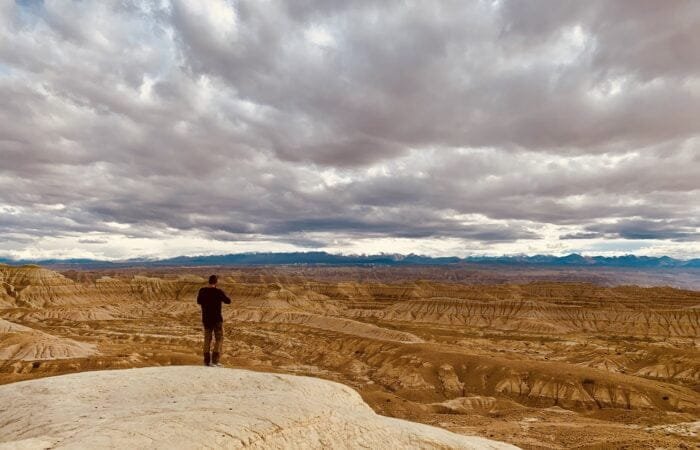 ngari earhtern forestt