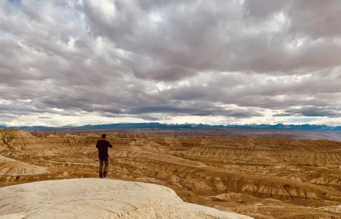 ngari earhtern forestt