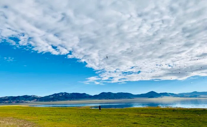 lake salt