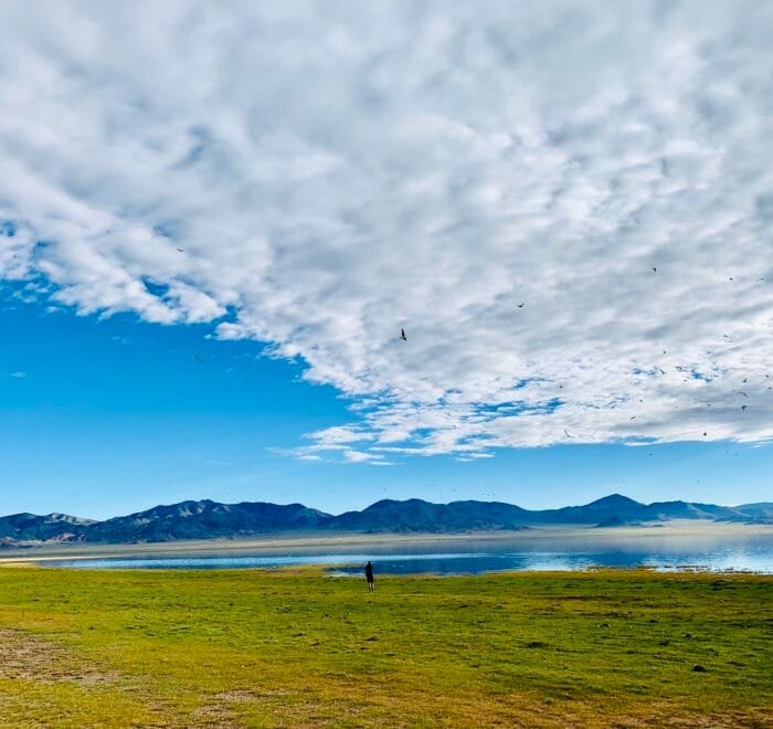 lake salt
