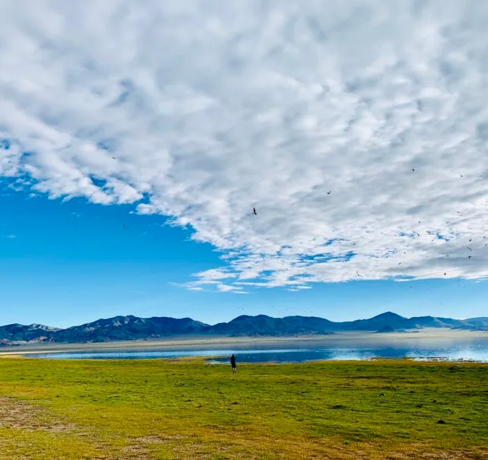 lake salt