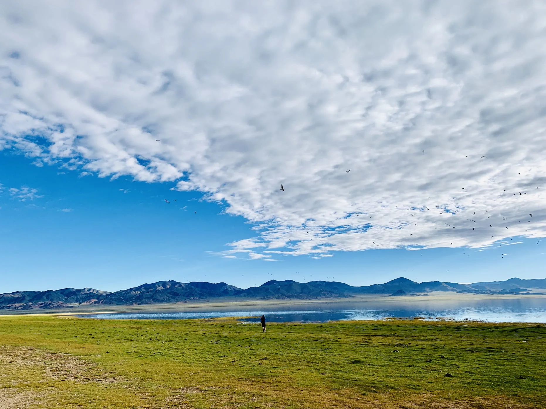 lake salt lake salt