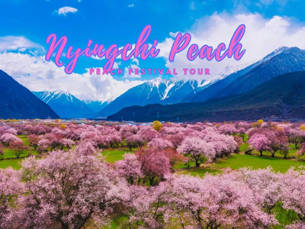 In Full Bloom: Nyingchi Peach Blossom Festival Tour Unleashed