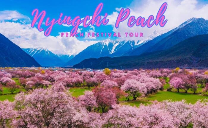 Nyingchi peach festival tour