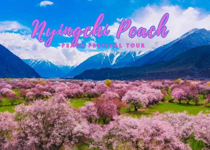 Nyingchi peach festival tour