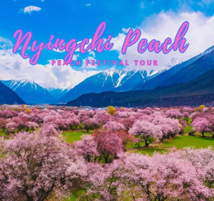 Nyingchi peach festival tour