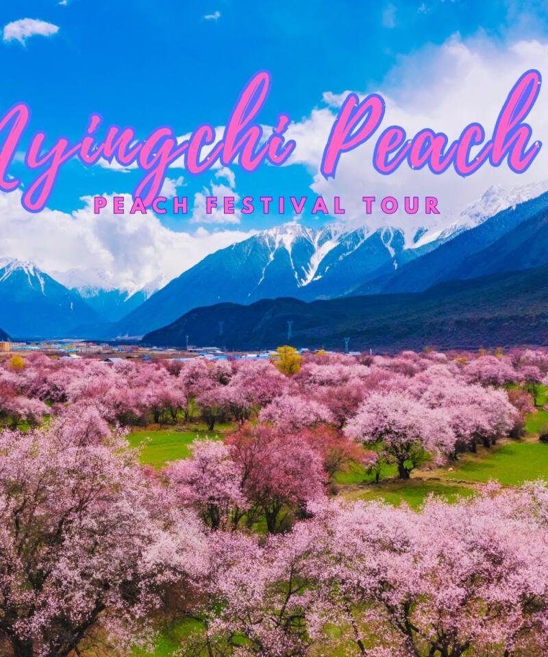 In Full Bloom: Nyingchi Peach Blossom Festival Tour Unleashed