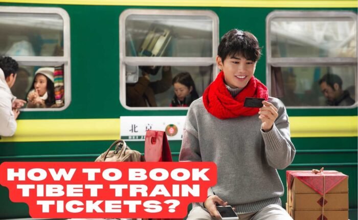 medical facilities in Tibet Train8