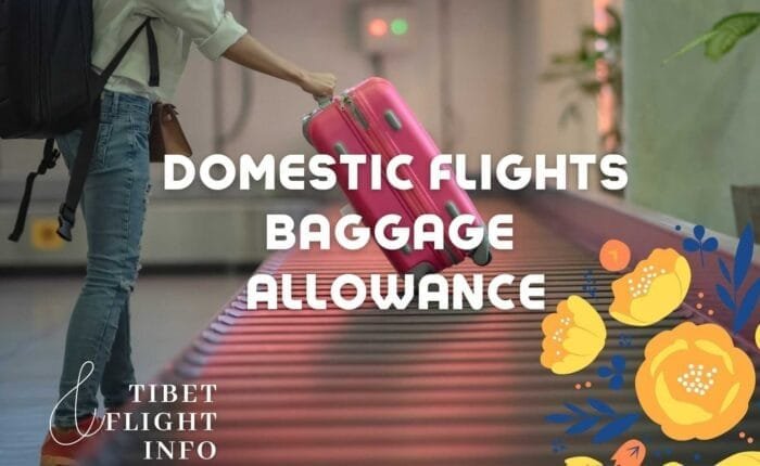 Domestic Baggage