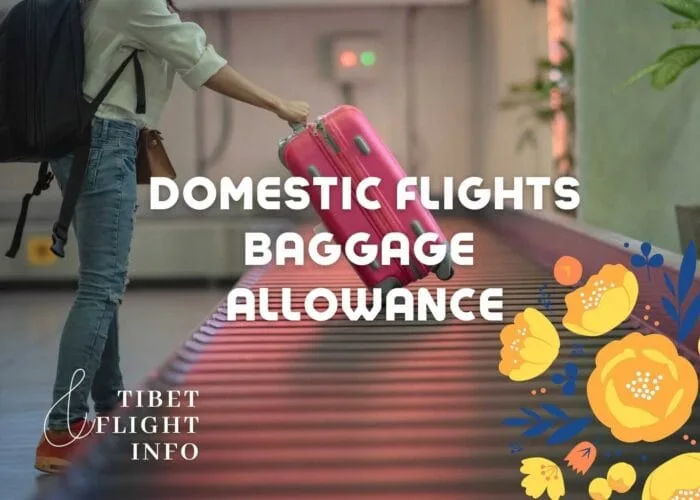 Domestic Baggage