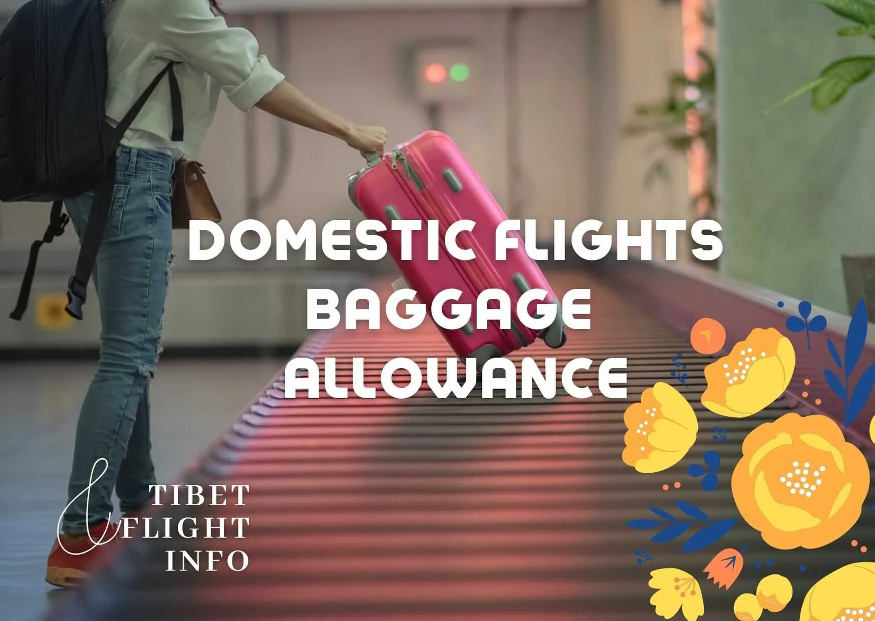 Domestic Baggage