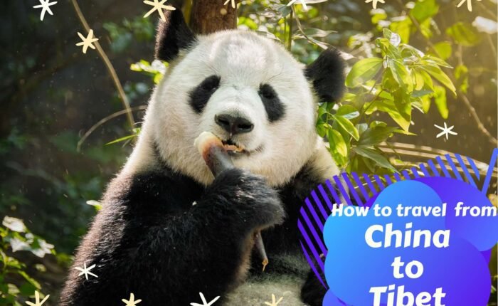 How to apply for a Tibet travel permit17