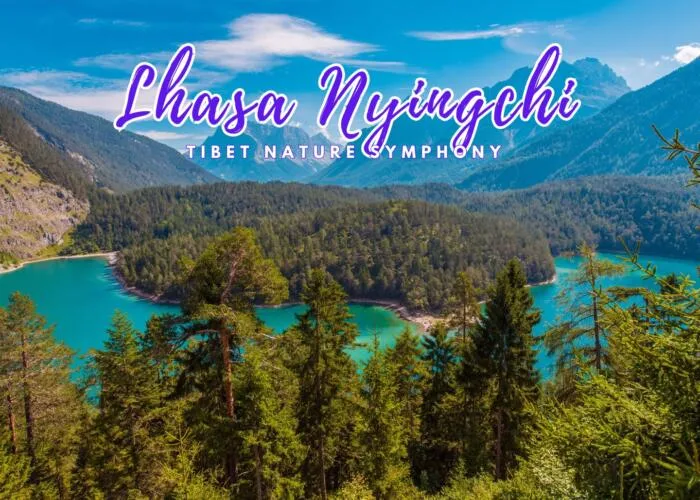 Lhasa nyingchi tour
