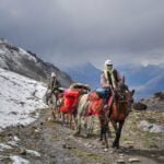tibet Horse and Tea Route Tour