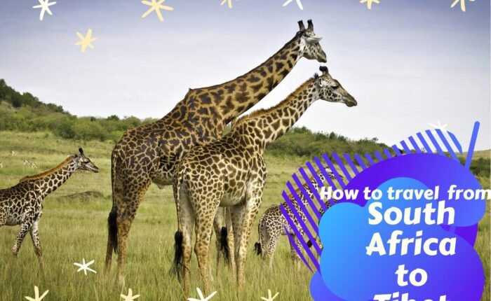 How to travel from South Africa to Tibet