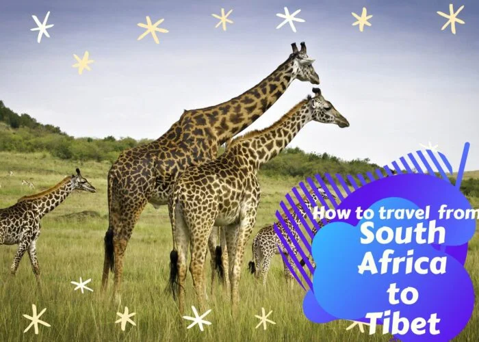 How to travel from South Africa to Tibet