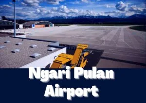 Ngari Pulan Airport
