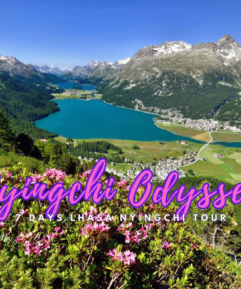 Exploring the Wonders of Tibet: A 7-Day Journey to the Roof of the World