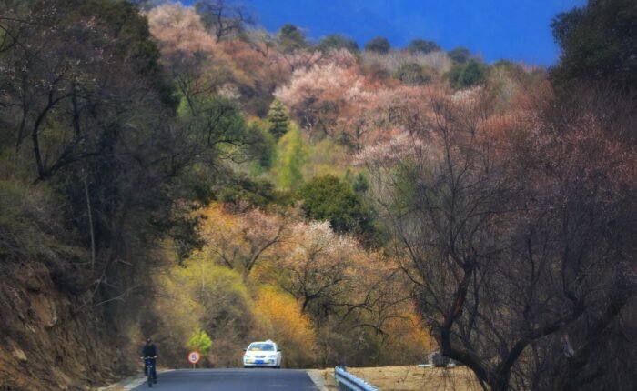 Db3adc6ae01c0ffc80bfc43479585308 scaled