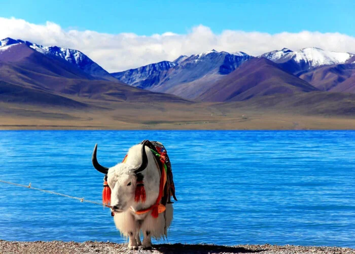 package tour to tibet from us