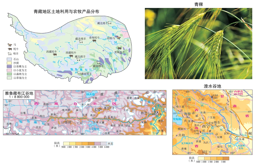 Exploring Qinghai-Tibet Region: A Unique Geographic Features and Marvel