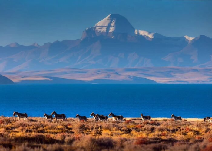 Mount kailash kora pilgrim31