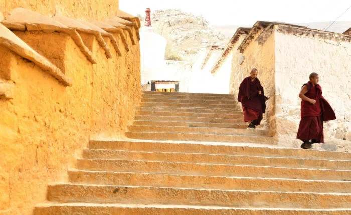 Monks walking on street