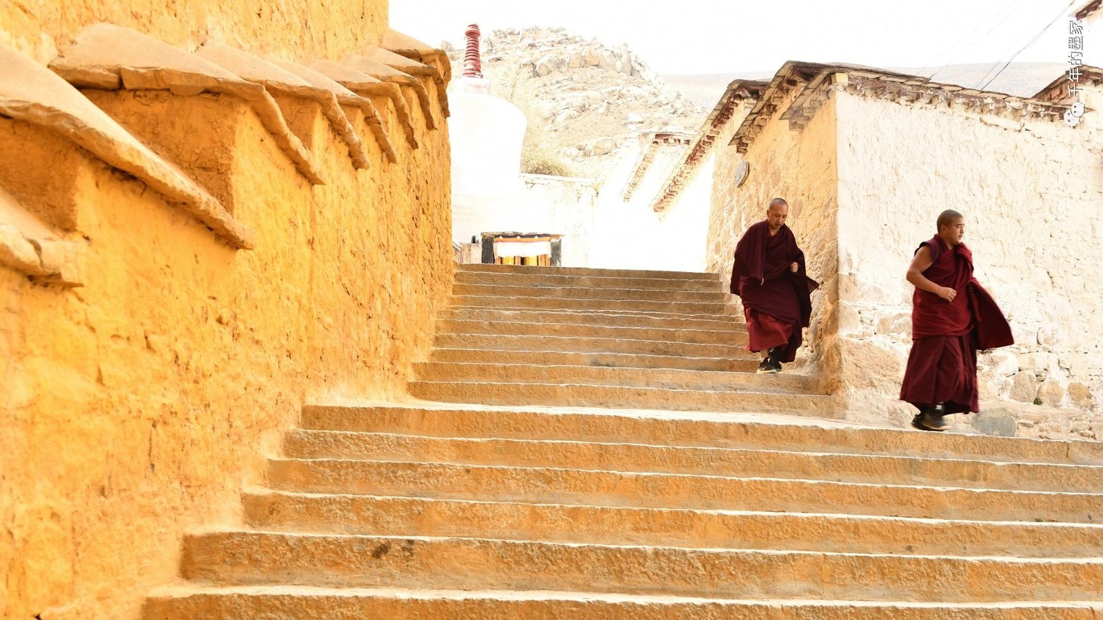 Monks walking on street