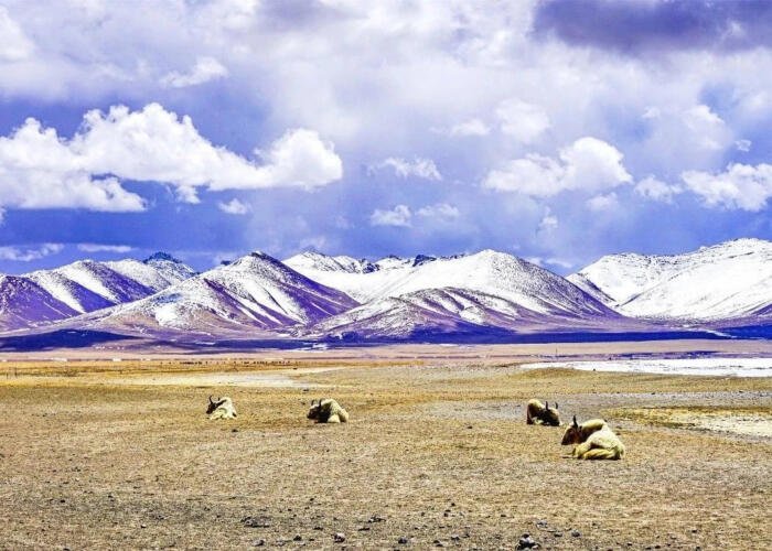 Unique Gurla Mandhata Peak: The Sacred Summit of Tibet