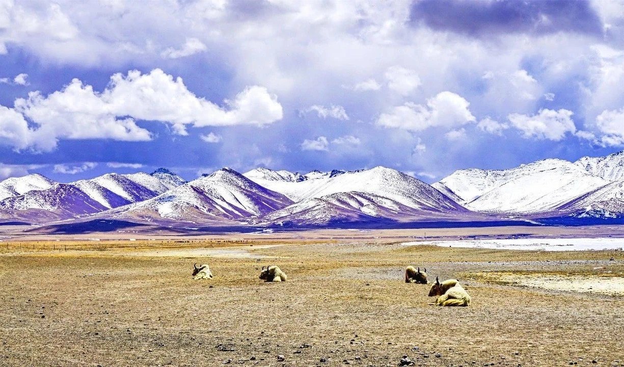 Unique Gurla Mandhata Peak: The Sacred Summit of Tibet