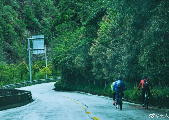 Discover Unique Upper and Lower Zayü: The Hidden Gems of Border Town Nyingchi