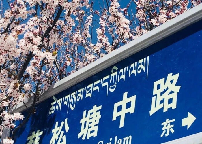 The Hidden Stories Behind Lhasa’s Street Names