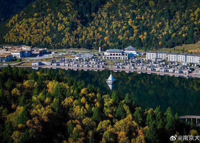 Discover Popular Lulang Forest: A Slice of Heaven in Nyingchi, Tibet