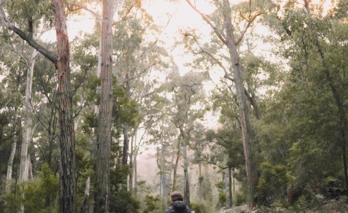 331996 trekking tibet everest base camp from tingri to ebc 12 days