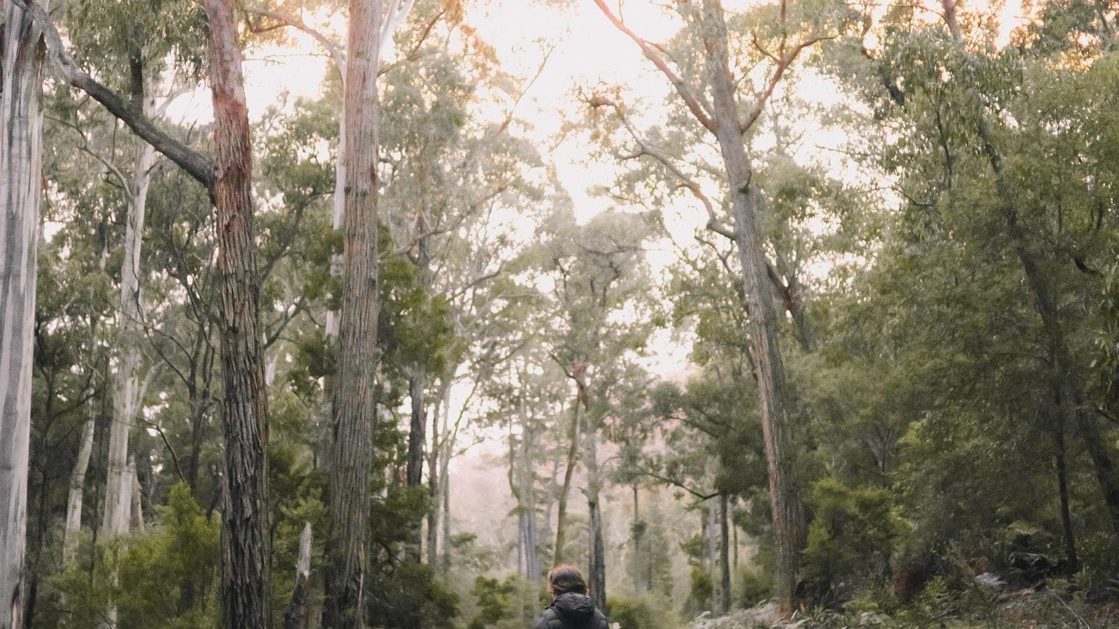 Trekking Tibet Everest Base Camp from Tingri to EBC: 12 Days