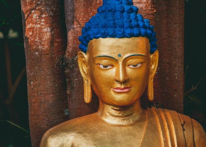 7 Days Tibet Tour: A Week of Discovery