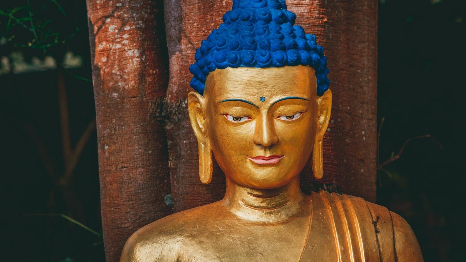 7 Days Tibet Tour: A Week of Discovery