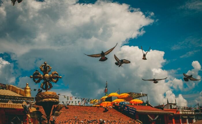 332226 finding the best tibet travel agency insider tips