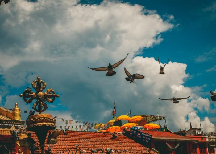 Finding the Best Tibet Travel Agency: Insider Tips