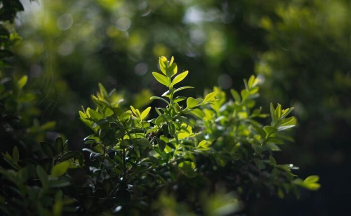 333630 visit top natural sites in china and tibet 14 days