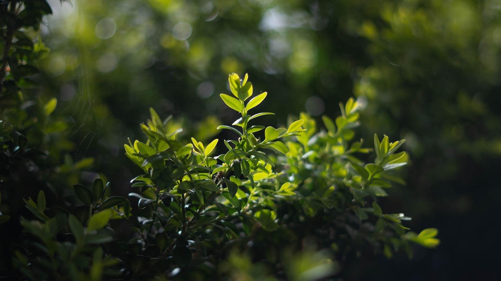 Visit Top Natural Sites in China and Tibet: 14 Days