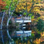 Chinas Most Beautiful Bomi gang spruce forest