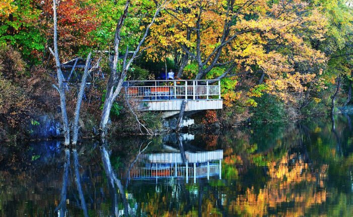 Chinas Most Beautiful Bomi gang spruce forest