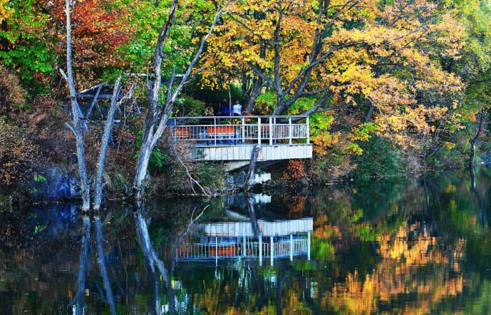Chinas Most Beautiful Bomi gang spruce forest