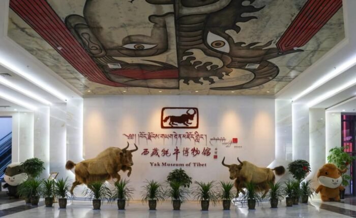 yak museum of Tibet