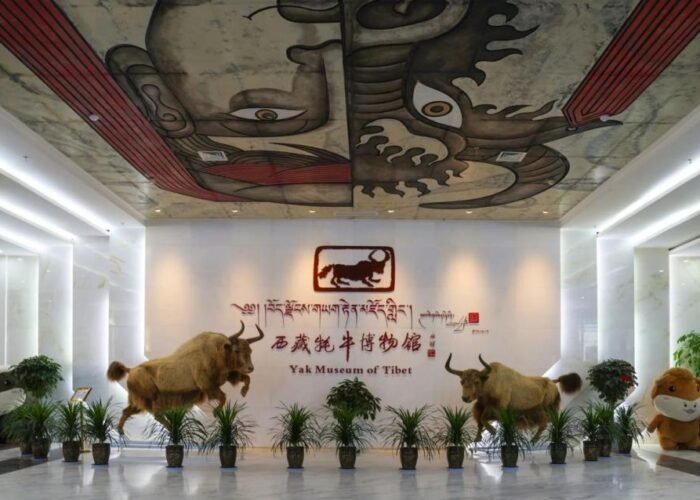 yak museum of Tibet