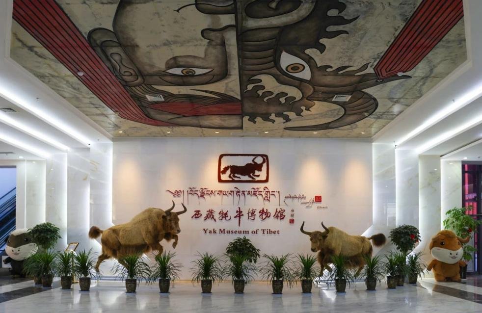 yak museum of Tibet