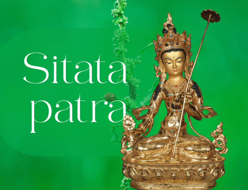 SItatapatra 2 - Tour Travel Tibet: Expert Tibet Tours & Permits