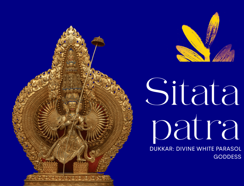 Sitatapatra 4 - Tour Travel Tibet: Expert Tibet Tours & Permits